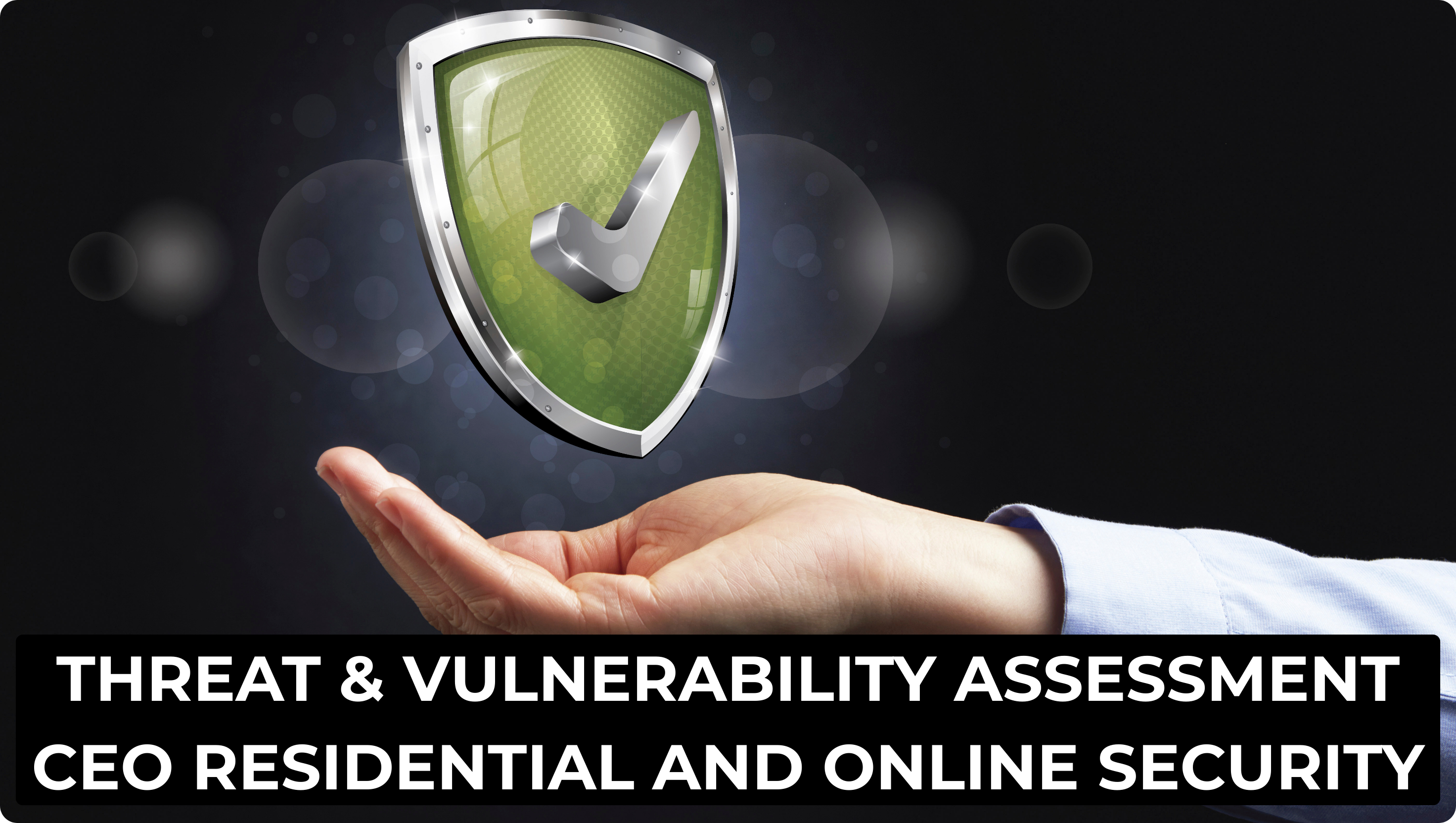 THREAT & VULNERABILITY ASSESSMENT CEO RESIDENTIAL AND ONLINE SECURITY